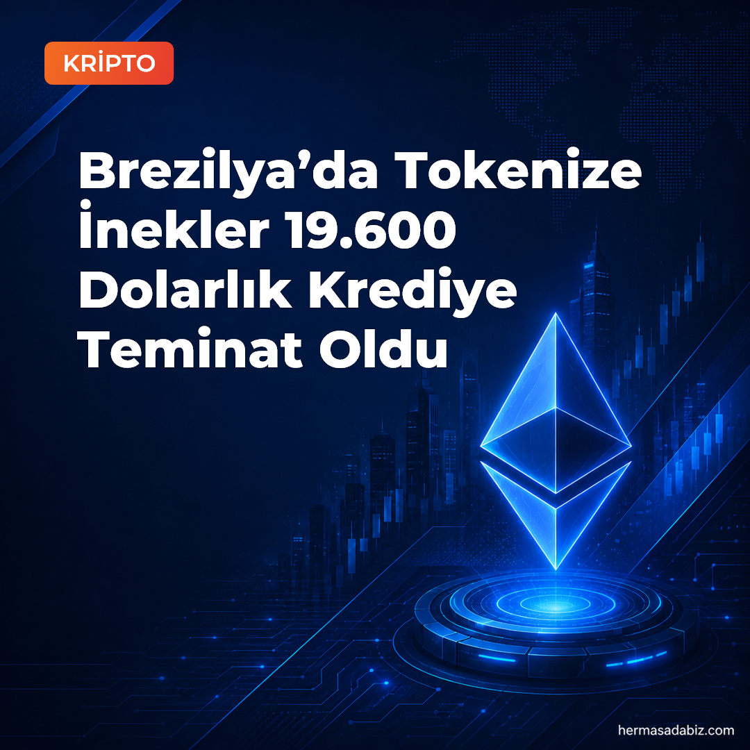 Brezilya’da Tokenize İnekler 19.600 Dolarlık Krediye Teminat Oldu