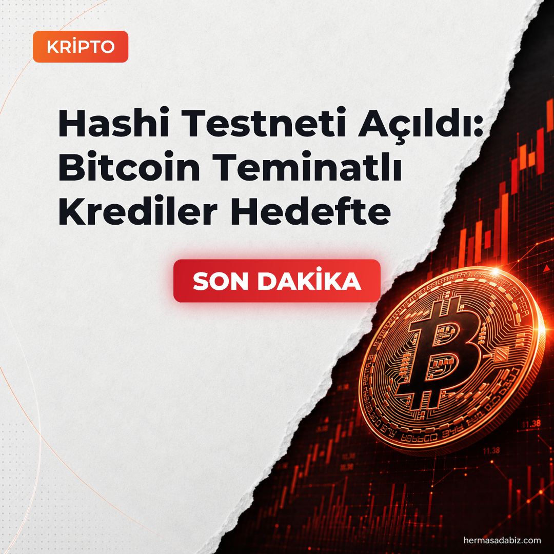 Hashi Testneti Açıldı: Bitcoin Teminatlı Krediler Hedefte